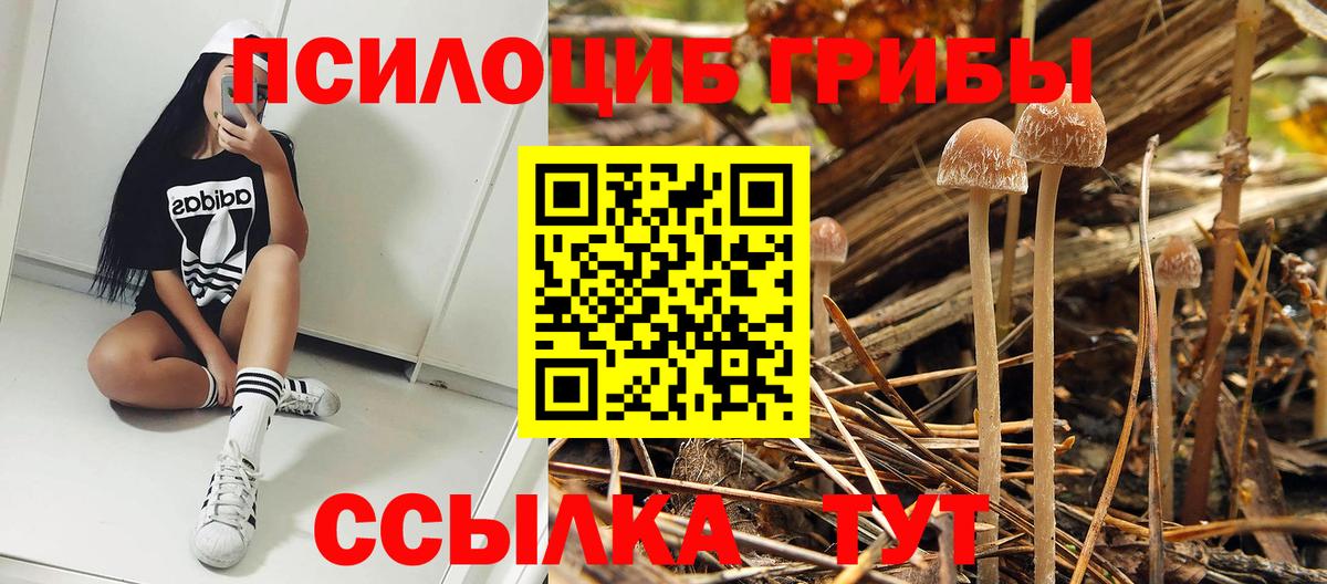 Псилоцибиновые грибы ЛСД  Галлюциногенные грибы прущие грибы  Вход с VPN  Павлово 